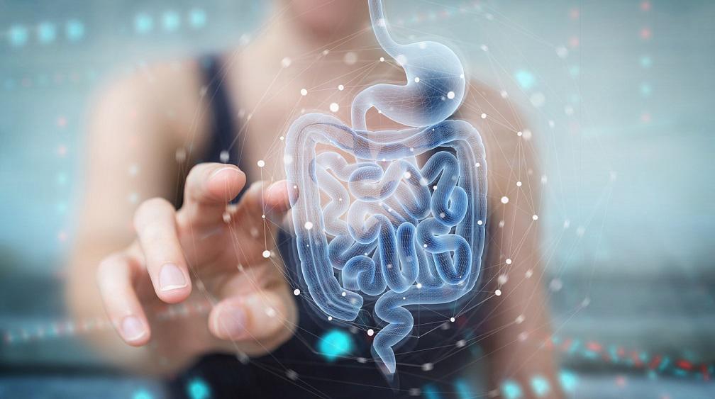 myBIOME un estudio que explora las profundidades de tu salud intestinal