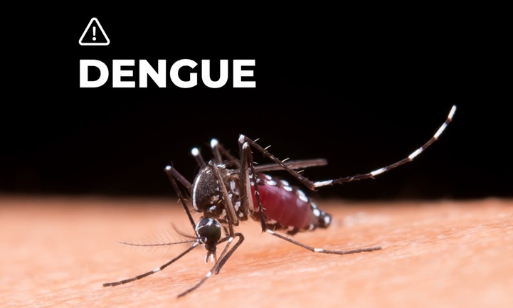 Argentina reporta más de 527.000 casos de dengue en lo que va de 2024