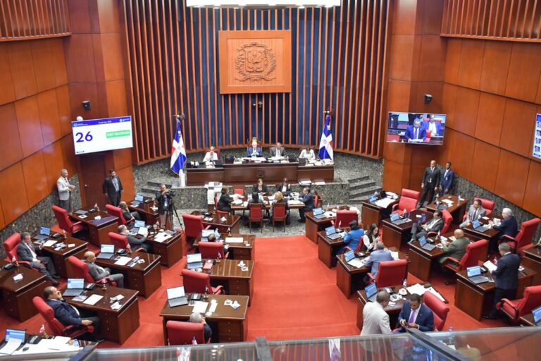 Foro Feminista denunció PRM traiciona a las mujeres a quienes había prometido protección de derechos