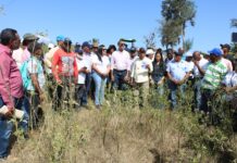 En San Juan, Ministerio de Agricultura dispone veda cultivos hospederos de la flor de habichuela y mosca blanca