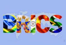 BRICS debe discutir regulación de redes e inteligencia artificial, dice negociador brasileño