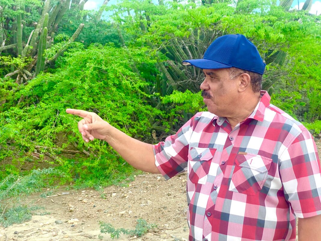 Sanchez Roa