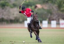 Cámara Británica de Comercio anuncia su Copa Británica de Polo, en su 10ma edición