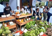Concluye Agropesur, destaca logros del gobierno en el campo