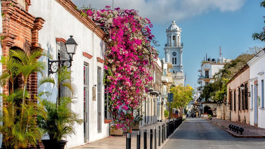 La imagen actual no tiene texto alternativo. El nombre del archivo es: santo-domingo-calle.jpg