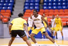 Henry Sims se integra a los Metros, impresiona en su primer entrenamiento