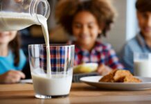La leche y los lácteos: aliados clave para la salud y la nutrición