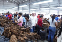 Preindustrial presenta panorama favorable para nuevas inversiones industriales