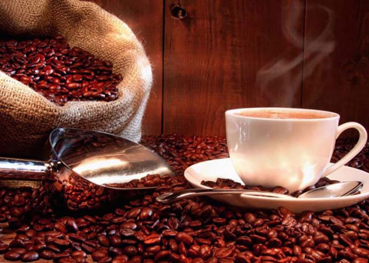 Café dominicano rompe récords las exportaciones crecen un 106,6% y superan por primera vez a las importaciones