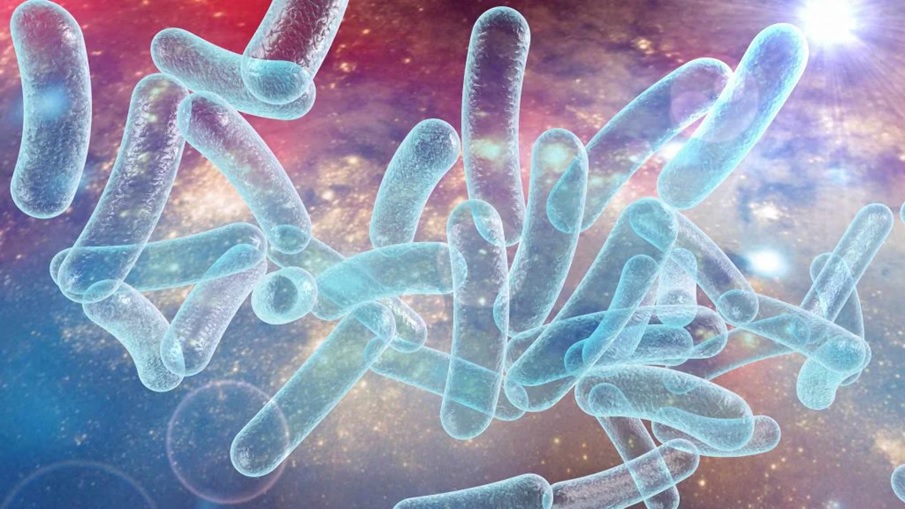 Tres fallecimientos y 67 enfermos por virus Legionario en sector Harlem_ residen dominicanos