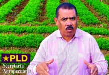 PLD revela preocupación de Danilo Medina por abandono del campo y auge de importaciones desleales; Sánchez Roa exige volver al modelo de las Visitas Sorpresa