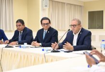 Comisión Bicameral que estudia Ley de Seguridad Social fija fecha vistas públicas en La Vega y Barahona