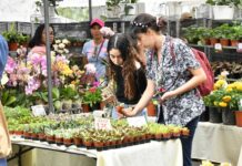 La naturaleza florece en el 19.º Festival Nacional de Plantas y Flores