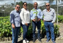 Agricultura lleva soluciones a productores cacao región Este