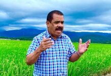 Alza y acaparamiento del arroz origina reducción en su consumo