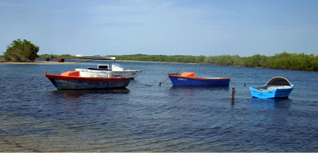 La imagen actual no tiene texto alternativo. El nombre del archivo es: LA-PESCA.jpg