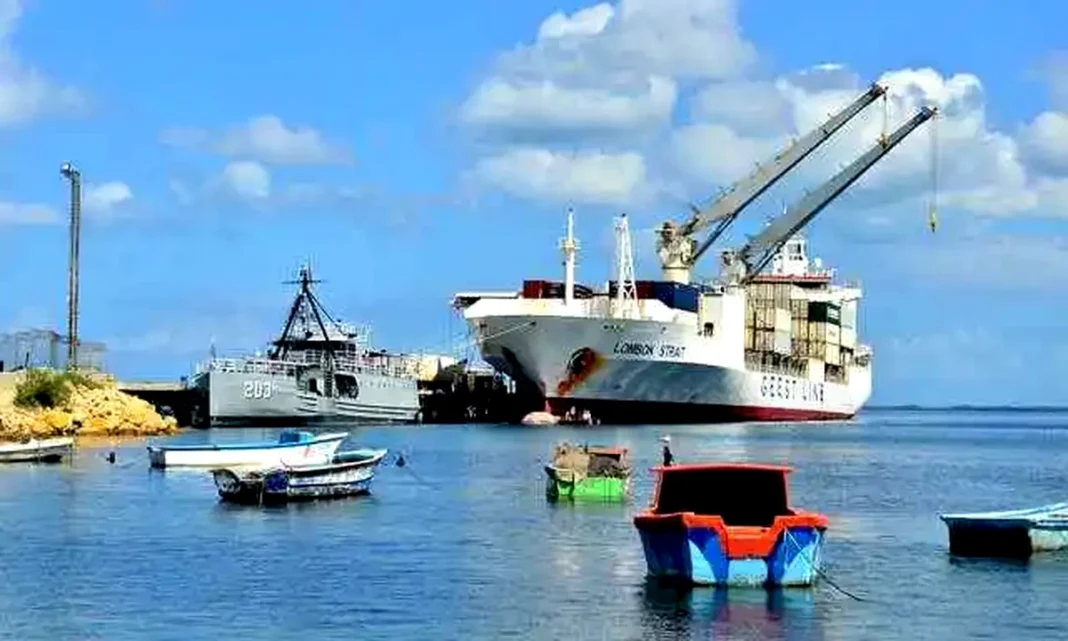 Manzanillo portada optimizada