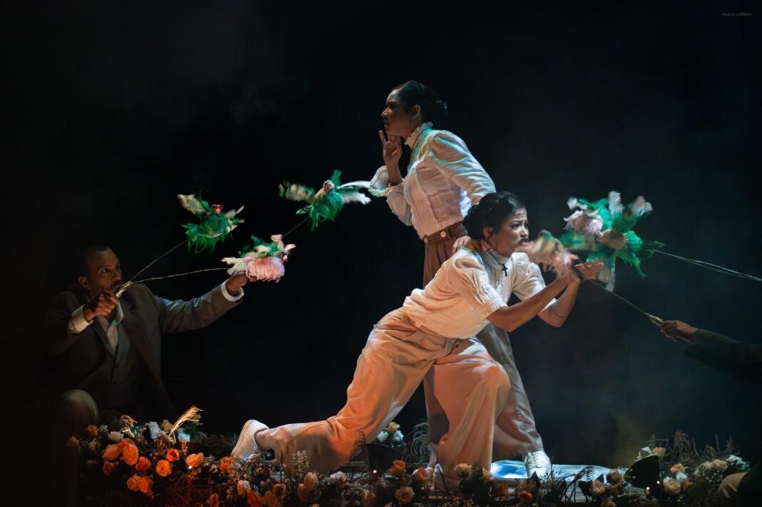 “Aquí a la sombra, Salomé” experiencia escénica contemporánea sobre memoria, cuerpo - patria