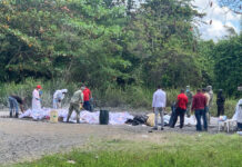 El Inacif quema más de 8 toneladas de drogas en primer trimestre del año 2026