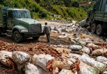 Gobierno lleva a los productores de Zanahoria a la quiebra