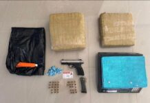 DINTEL ocupa 15 libras de presunta marihuana, arma de fuego, municiones, vehículo y detiene a un hombre en SDE