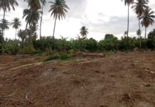 Asociaciones Agrícolas de la zona Calera de Tamayo denuncian abusos del Consorcio Azucarero
