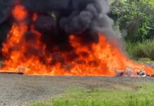 El Inacif destruye más de 1,400 kilogramos de distintas drogas