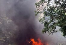 El Inacif destruye más de 3 toneladas de drogas
