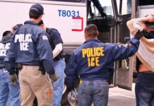 NY será inundada por agentes de inmigración si NYPD no coopera con ICE, dice el «zar de la frontera»