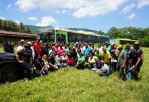 OMSA desarrolla jornada de reforestación en ocasión del Día del Árbol