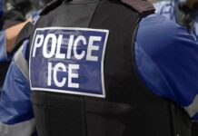 Dominicanos en NYC aplauden juez prohíba arrestos de ICE dentro o cerca de tribunales migratorios