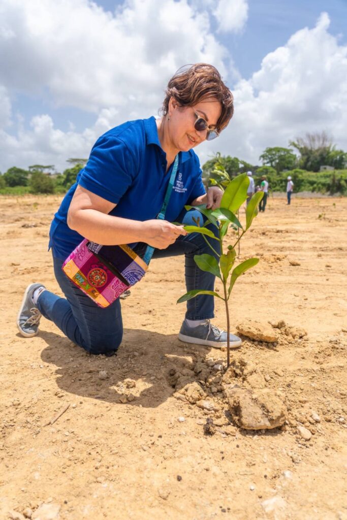 La imagen actual no tiene texto alternativo. El nombre del archivo es: Fiscales-de-la-Proedemaren-realizan-jornada-de-reforestacion-conmemoracion-del-Dia-del-Medio-Ambiente.jpg