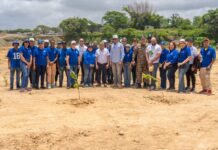 Fiscales de la Proedemaren realizan jornada de reforestación en conmemoración del Día del Medio Ambiente
