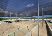 Punta Bergantín impulsa vivero de especies nativas y endémicas para fortalecer la sostenibilidad ambiental