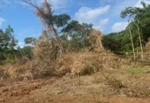 Denuncian continuidad de incendio en Hoyo de Pum en Monte Plata