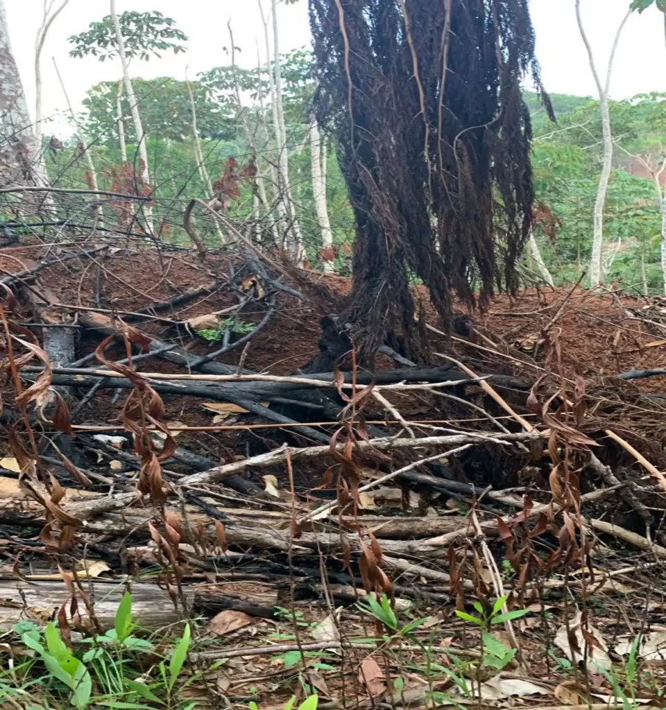 La imagen actual no tiene texto alternativo. El nombre del archivo es: Denuncian-continuidad-incendio-en-Hoyo-de-Pum-en-Monte-Plata-sin-atencion-de-las-autoridades.webp