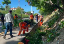 La Dirección de Mantenimiento Vial del MOPC, y la Comipol, ponen en marcha jornada de limpieza, adecuación y recuperación de espacios públicos en la autopista Seis de Noviembre