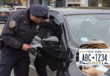 Más patrullas durante Halloween en NY para detener y multar a conductores ebrios