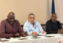 Propone construir un complejo deportivo en NY para la comunidad dominicana