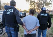 Trump ha deportado a casi un millón de personas, entre ellas dominicanos; ICE planea aumentar arrestos y deportaciones